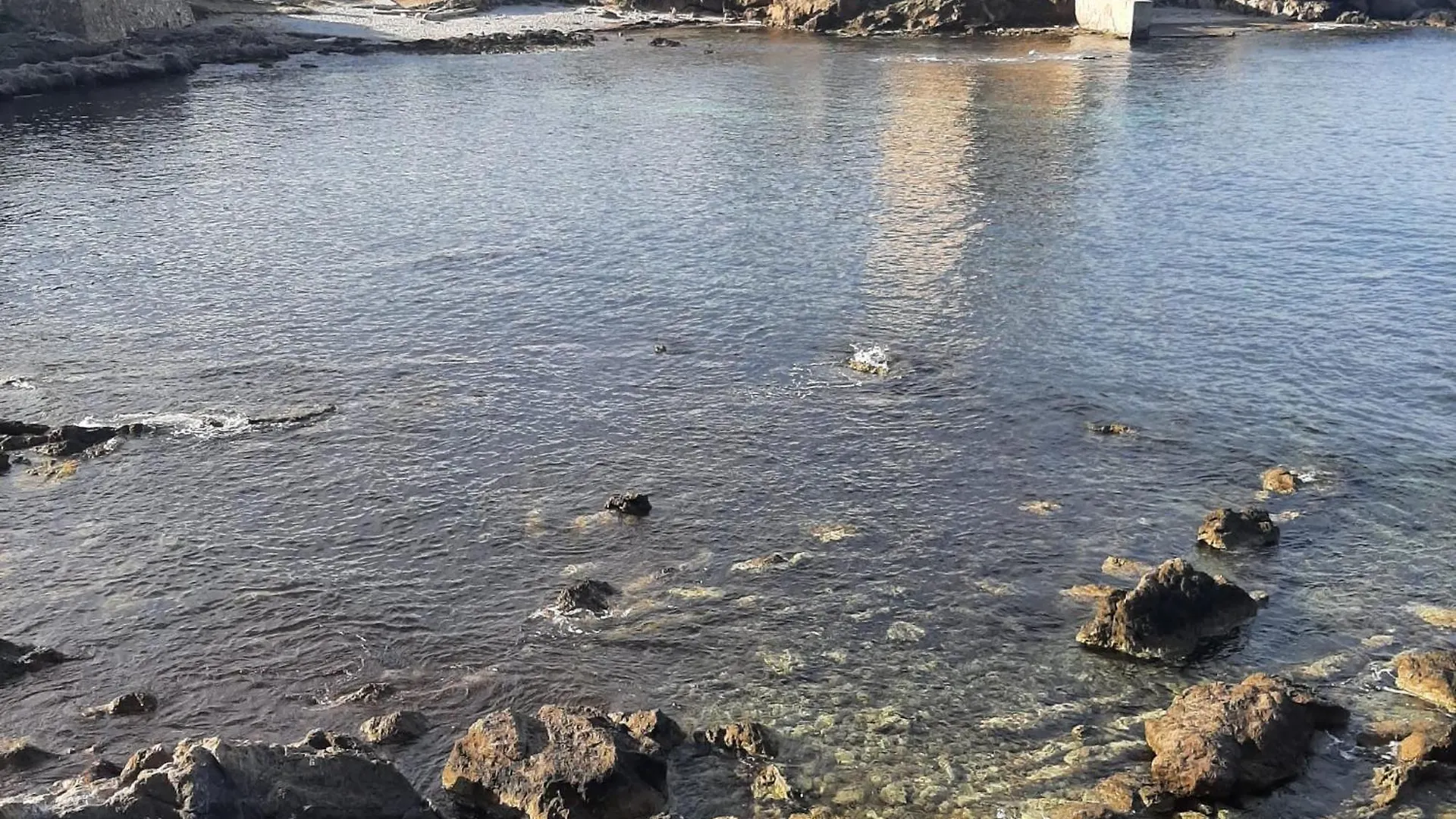 La Strelizia Lägenhet Alghero
